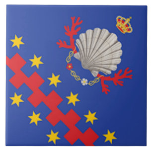 Nobile Contrada del Nicchio (Seashell) Ceramic Tile