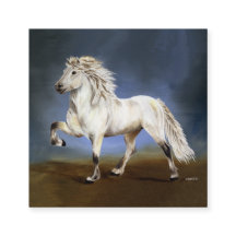 Nobility Icelandic Horse