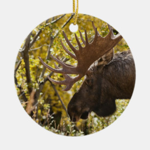Noble Bull Moose Ceramic Tree Decoration