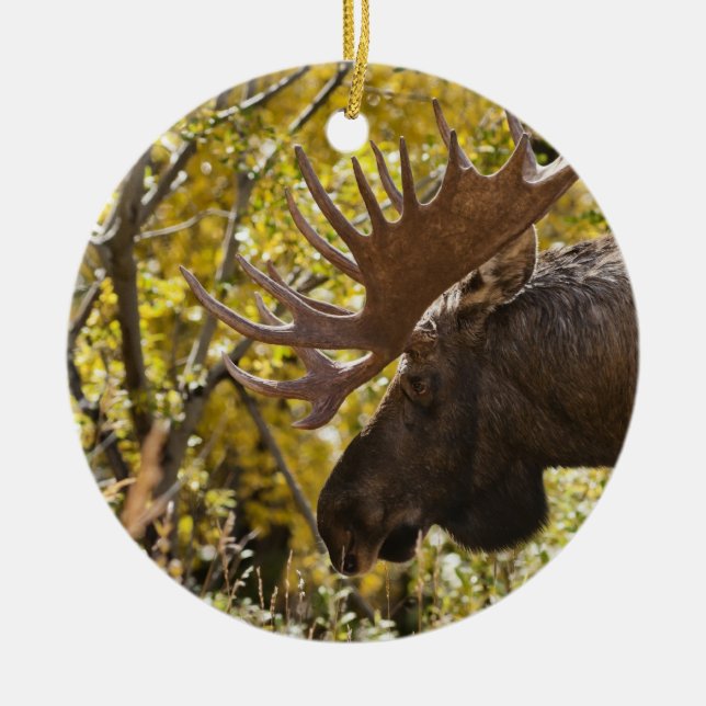 Noble Bull Moose Ceramic Tree Decoration (Front)