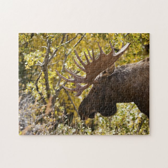 Noble Bull Moose Jigsaw Puzzle (Horizontal)