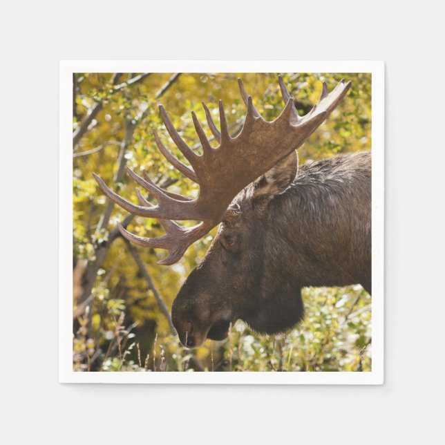 Noble Bull Moose Napkin (Front)