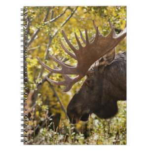 Noble Bull Moose Notebook