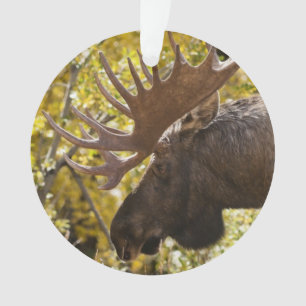Noble Bull Moose Ornament