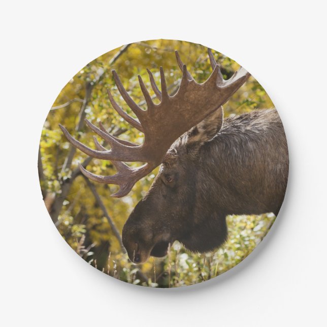 Noble Bull Moose Paper Plate (Front)