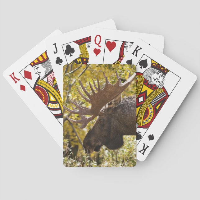 Noble Bull Moose Playing Cards (Back)