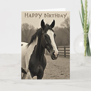 Noble Horse Birthday Card