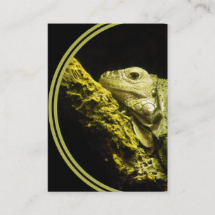 Noble Iguana Business Card