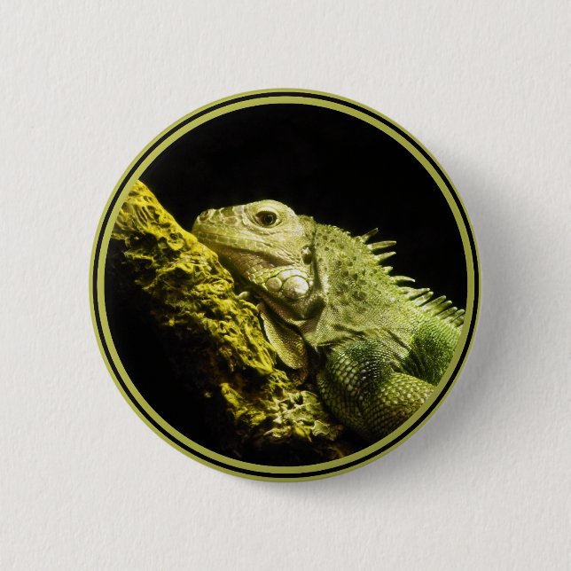 Noble Iguana Button (Front)