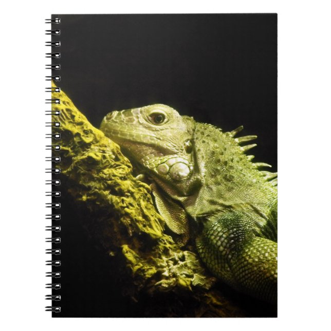 Noble Iguana Notebook (Front)