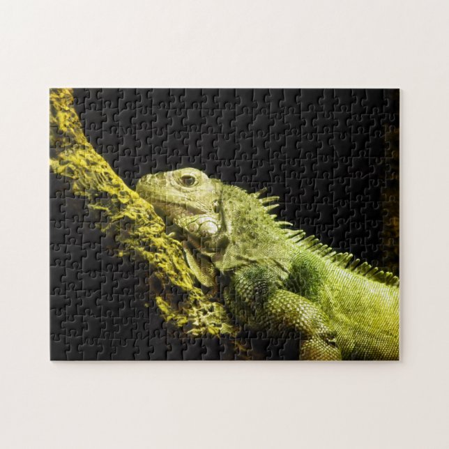 Noble Iguana Puzzle (Horizontal)
