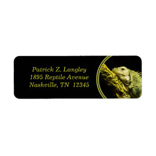 Noble Iguana Return Address Labels