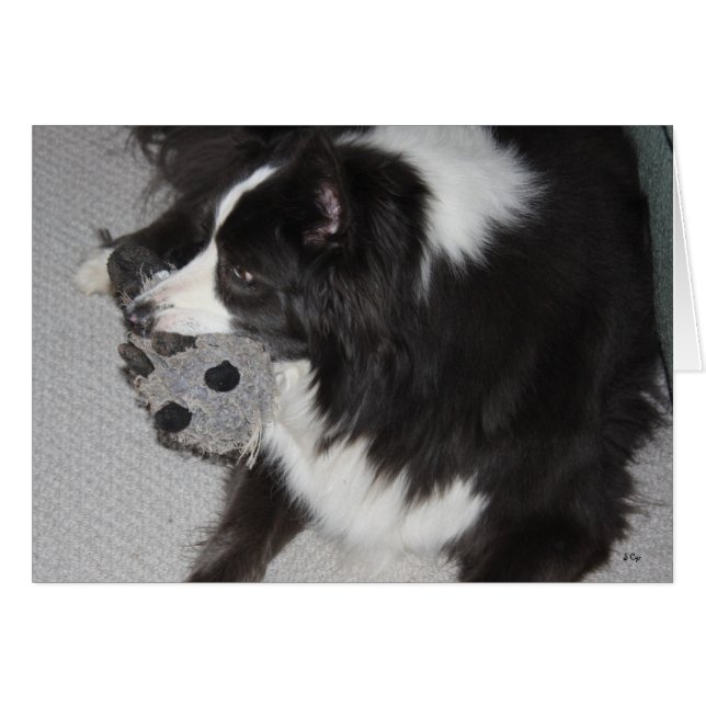 Noble Lady (Front Horizontal)