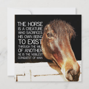 NOBLE STALLION 5.25 x 5.25 card