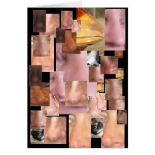 NOBODY NOSE