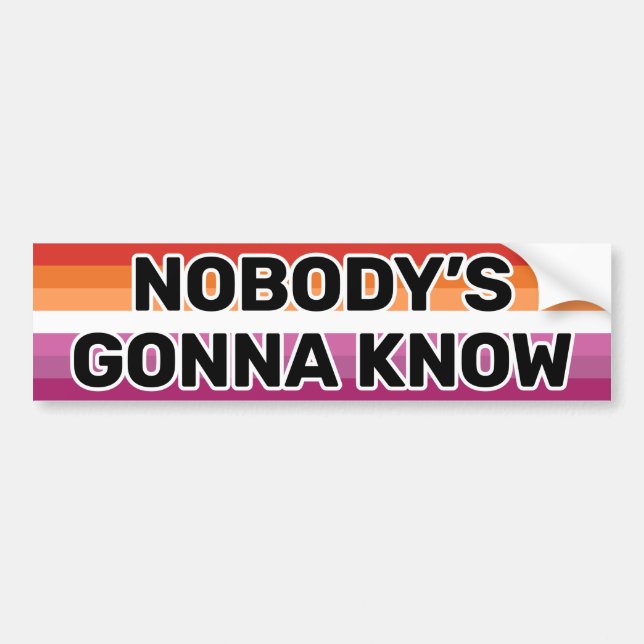 Nobody's Gonna Know Black Lesbian Flag (2018) Bumper Sticker (Front)