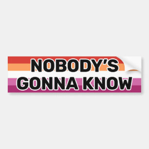 Nobody's Gonna Know Black Lesbian Flag (5 Stripes) Bumper Sticker