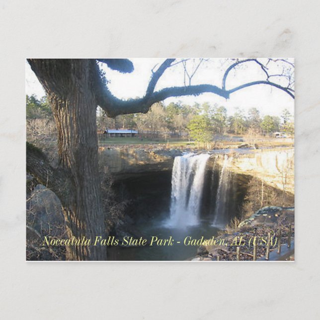 "Noccalula Falls" - Gadsden, AL (1) Postcard (Front)