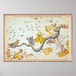 Noctua, Corvus, Crater, etc Poster