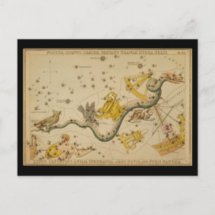 Noctua, Corvus, Hydra, Felis, Lupus, Centaurus, &c Postcard