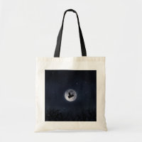 Nocturnal Flying Pig Across The Full Moon