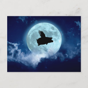 Nocturnal Flying Pig Postcard