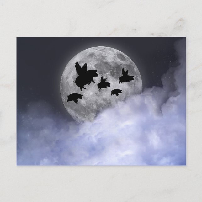 Nocturnal Flying Pigs Postcard (Front)