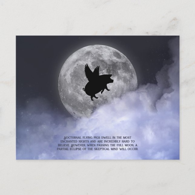 Nocturnal Flying Pigs Postcard (Front)