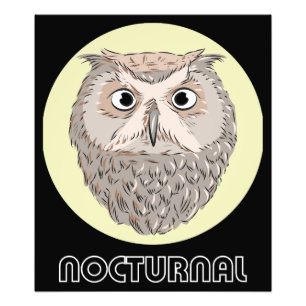 Nocturnal Owl Illustration Poster