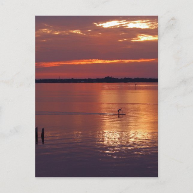 Nocturnal Paddle Boarder Returns Postcard (Front)