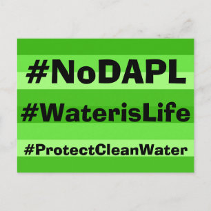 NoDAPL postcards