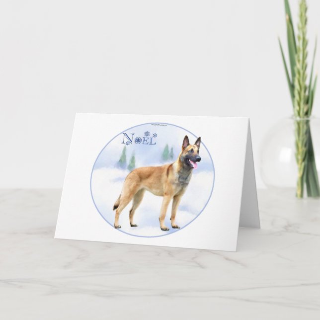 Noel Belgian Malinois Holiday Card (Front)