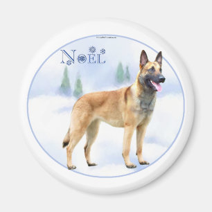 Noel Belgian Malinois Magnet