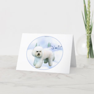 Noel Bichon Frise Holiday Card