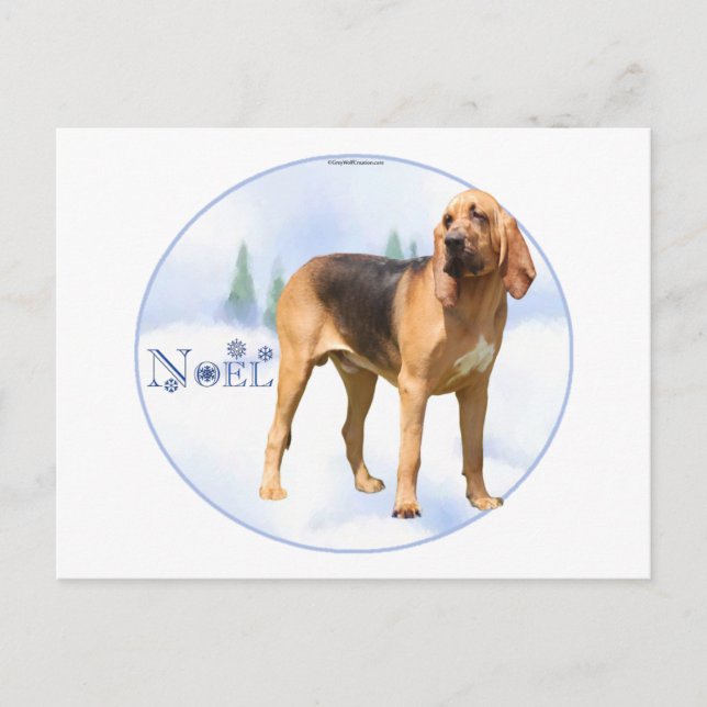 Noel Bloodhound Holiday Postcard (Front)