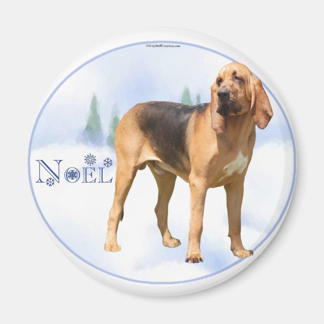 Noel Bloodhound Magnet (Front)