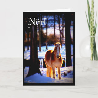 Nöel Holiday Card