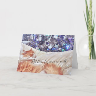 NOEL NAPPER Greeting Card