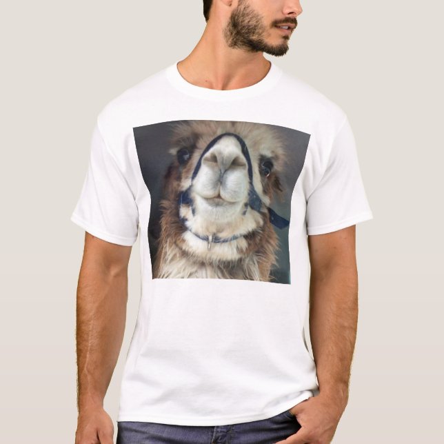 NoesNoToes T-Shirt (Front)