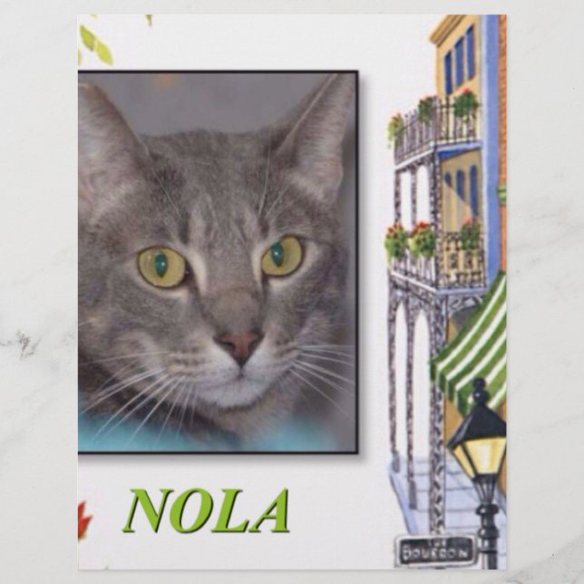 NOLA (Front)