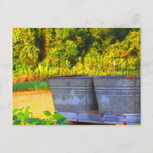 Nola's Tubs Postcard