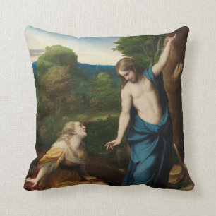 Noli me tangere cushion