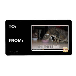 nom force field