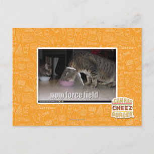 nom force field postcard