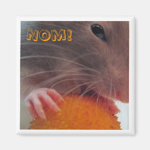 Nom! Magnet