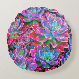 NOMADESAUSTRALIENS neon pink succulents Round Cushion