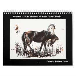 Nomads -Sand Wash Basin Wild Horses Calendar