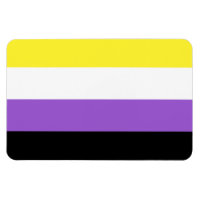 Non Binary Pride