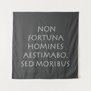Non fortuna homines aestimabo sed moribus tapestry