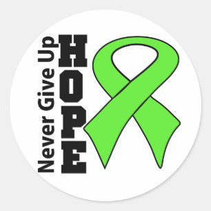 Non-Hodgkins Lymphoma Hope Never Give Up Classic Round Sticker